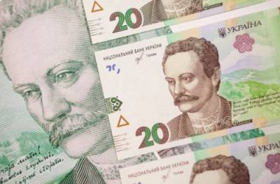 Счетная палата рассказала, сколько украинцы тратят на обслуживание госдолга
