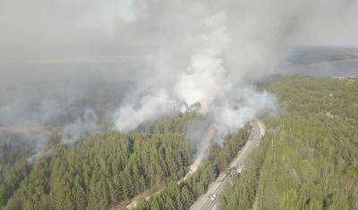 За нарушение запрета на посещение лесов оштрафованы 307 тюменцев - nashgorod.ru - Тюменская обл. - район Нижнетавдинский