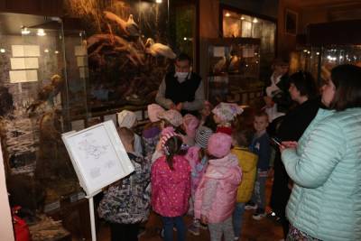 В андреапольском музее Тверской области рассказали, почему нельзя бить жаб палкой