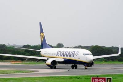 Депутат бундестага заявил, что самолет Ryanair посадили в Минске из-за западных спецслужб