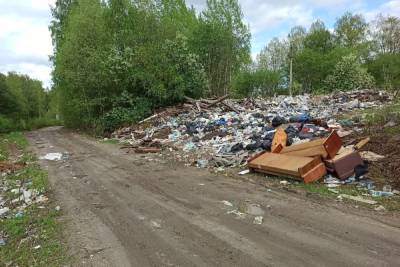 На закрытую свалку в Карелии продолжают вывозить мусор