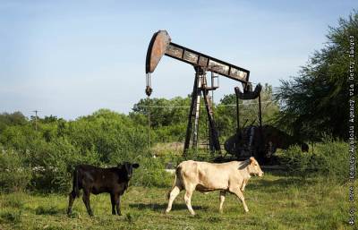 Нефтяные цены начали снижаться