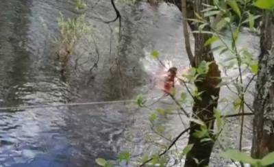 В Карелии пожарные спасли ребенка, который чуть не утонул в реке