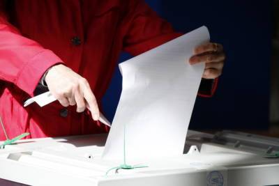 Петербург не попал в число регионов, где на осенних выборах пройдет онлайн-голосование