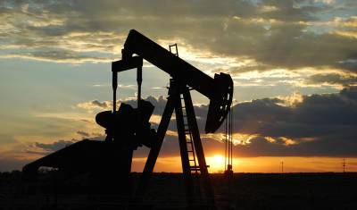 Цена за баррель нефти в мире начала расти