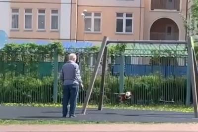 Видео с мужчиной и котом на качелях стало мемом в Сети - vm.ru - Домодедово