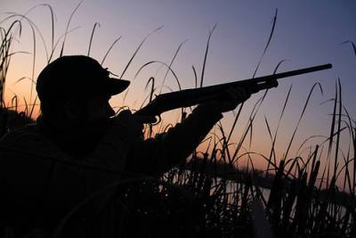 В Азербайджане будут созданы частные охотничьи хозяйства