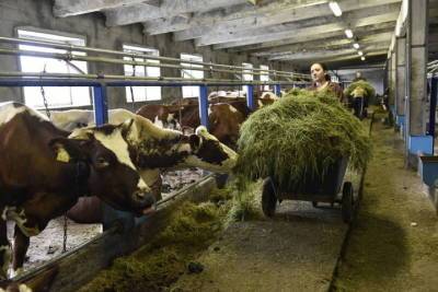 Фермерские хозяйства Мурманской области могут рассчитывать на 60-процентную компенсацию затрат на технику