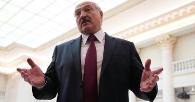 Лукашенко на день отложил заявление по задержанию Протасевича