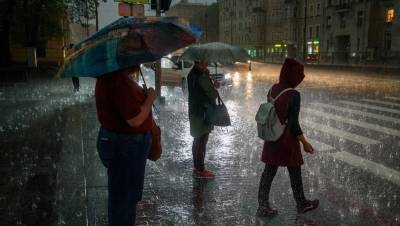 Май станет самым дождливым в Петербурге за историю метеонаблюдений