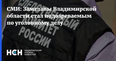 СМИ: Замглавы Владимирской области стал подозреваемым по уголовному делу