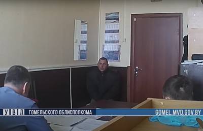 Мужчина в Чечерском районе спустил собаку на милиционеров и получил 2,7 года ограничения свободы