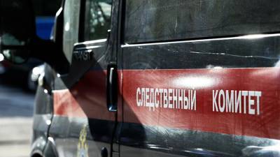 СК начал проверку по факту гибели ребенка после падения из окна в Подольске