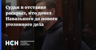 Судья в отставке раскрыл, кто довел Навального до нового уголовного дела
