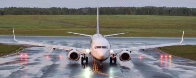 Немецкий парламентарий заявил о причастности Запада к происшествию с самолетом Ryanair