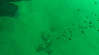 Водолазы нашли место утечки нефтепродуктов на дне Черного моря. Видео