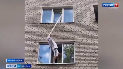 В Лениногорске мужчина спас застрявшего в окне кота