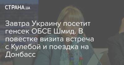Завтра Украину посетит генсек ОБСЕ Шмид. В повестке визита встреча с Кулебой и поездка на Донбасс