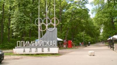 Обработка Олимпийской аллеи от клещей обойдется в миллион рублей
