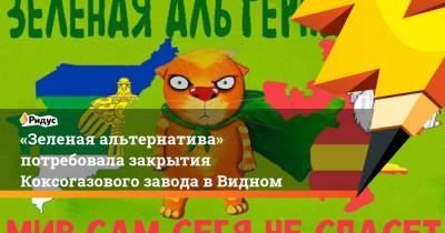 «Зеленая альтернатива» потребовала закрытия Коксогазового завода в Видном