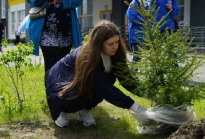 На территории Новогореловской школы высадили деревья в память о жертвах Великой Отечественной