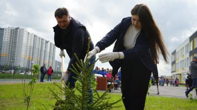 В рамках акции «Сад памяти» в Ломоносовском районе высадили 50 саженцев деревьев