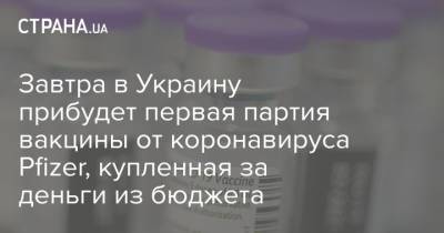 Завтра в Украину прибудет первая партия вакцины от коронавируса Pfizer, купленная за деньги из бюджета