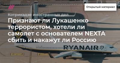 Признают ли Лукашенко террористом, хотели ли самолет с основателем NEXTA сбить и накажут ли Россию