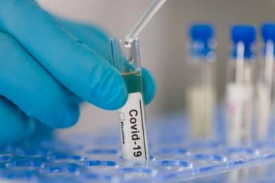 Украина получила от ВОЗ тест-системы, способные выявить "индийский" штамм коронавируса