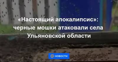 «Настоящий апокалипсис»: черные мошки атаковали села Ульяновской области