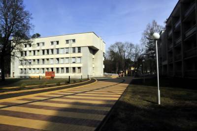 Swedbank: В. Шейман контролирует деятельность Belorus