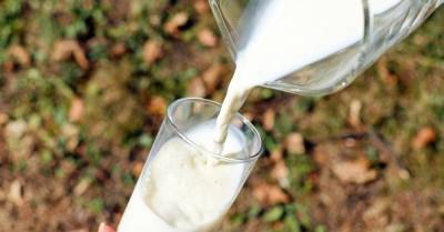 Кувейт открыл рынок для украинской молочки