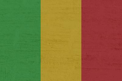 В Мали военные арестовали президента и премьер-министра и мира