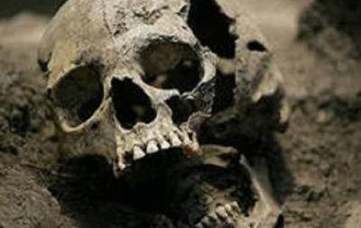 В Кингисеппском районе рабочие нашли скелеты неизвестных людей