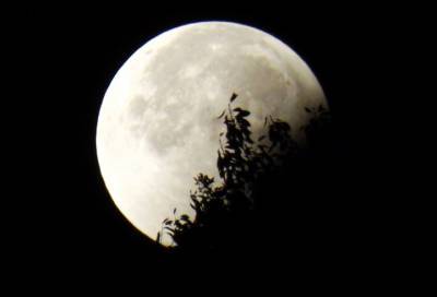 Длительность полного лунного затмения в среду составит около 14 минут