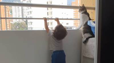 Пушистый защитник: кот умилил сеть своими действиями рядом с ребенком
