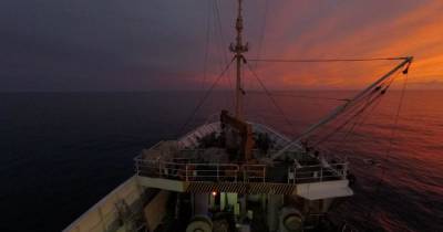 Трое японских моряков погибли в столкновении с российским судном
