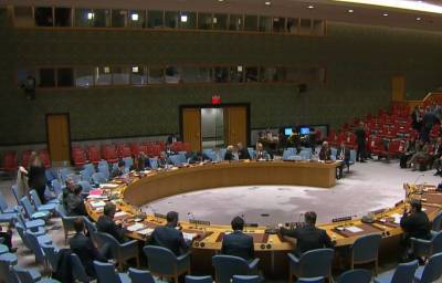 Три страны призвали созвать экстренное заседание Совбеза ООН из-за задержания экс-главреда канала Nexta