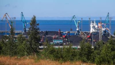 Второй по величине угольный терминал в Усть-Луге достался Траберу
