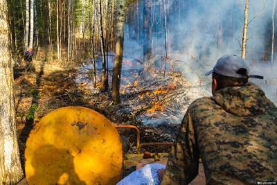 Депутат Госдумы Алексей Канаев оценил профессионализм в борьбе с пожарами в тюменских лесах