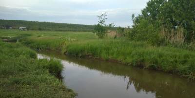 В Одесской области 12-летний мальчик утонул, когда купался на реке с 9-летней сестрой и ее другом - фото - ТЕЛЕГРАФ