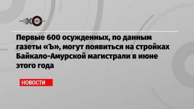 Первые 600 осужденных, по данным газеты «Ъ», могут появиться на стройках Байкало-Амурской магистрали в июне этого года