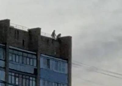 В полиции рассказали об инциденте с подростками на крыше рязанской многоэтажки