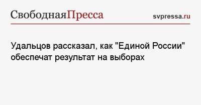 Удальцов рассказал, как «Единой России» обеспечат результат на выборах