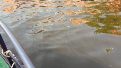 В реку Лене обнаружили нефть после затопления судна