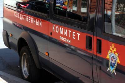 В Тверской области маленькая девочка, спасенная из пожара, умерла в больнице