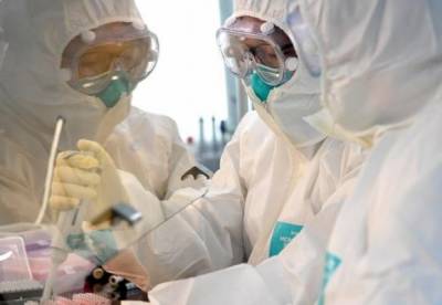 В Бразилии зафиксирован новый штамм коронавируса