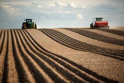 В прошлом году в Смоленской области произвели сельхозпродукции на сумму 26,7 миллиардов рублей
