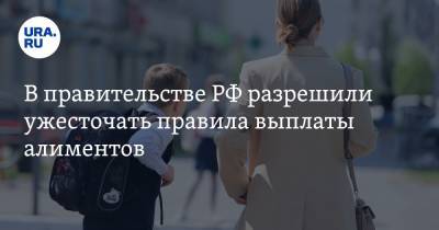 В правительстве РФ разрешили ужесточать правила выплаты алиментов