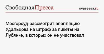 Мосгорсуд рассмотрит апелляцию Удальцова на штраф за пикеты на Лубянке, в которых он не участвовал